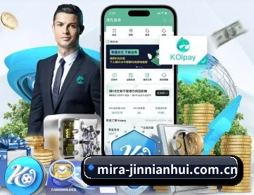 金年会 APP 深度功能