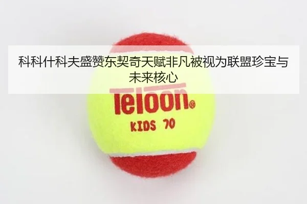 科科什科夫盛赞东契奇天赋非凡被视为联盟珍宝与未来核心